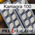 Kamagra 100 07